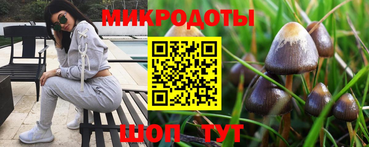 Псилоцибиновые грибы прущие грибы Красноуфимск