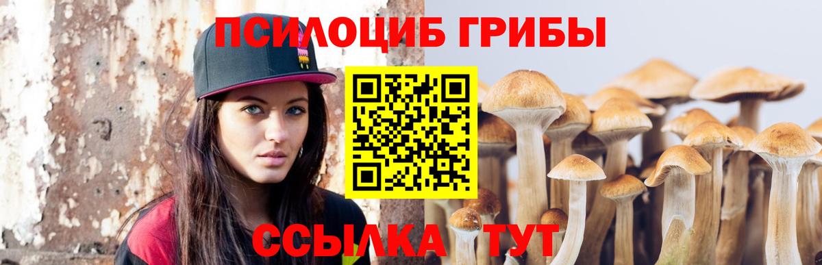 Красноуфимск  Псилоцибиновые грибы MAGIC MUSHROOMS  Вход с VPN 